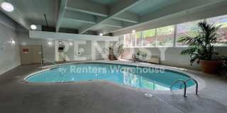 Beautiful 1 Bed 1 Bath in Capitol Hill (Water/sewer and Trash Utilities Included!) Gallery 29