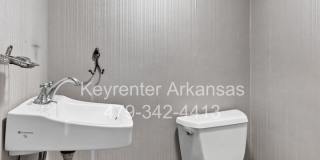 Unique, Charming and Spacious Fayetteville Home! Gallery 16