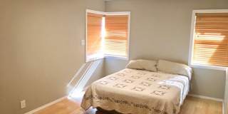 **AVAILABLE NOW** Gallery 11