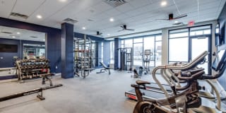 Lago Apartments Gallery 19