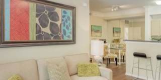 5864 Brodie Ln Gallery 1