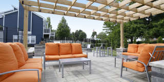 Island Club Gallery 21