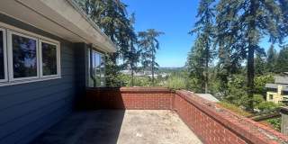 320 Sunset Dr Gallery 26