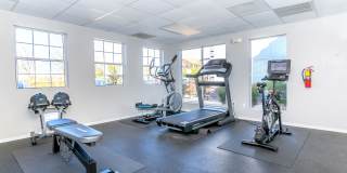 The Palisades Gallery 10