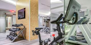 Tellus Apartments Gallery 48