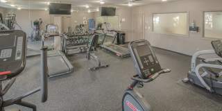 The Marque Gallery 25