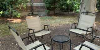 41 Linnaean Street Gallery 17