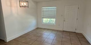 3 BR/1BA | Newly Renovated Single Family Home | Gated backyard | In South Tampa! Gallery 7