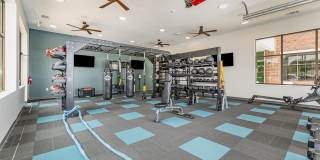 Legacy at Ardmore Gallery 31