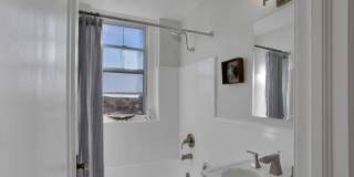 The Novelist Gallery 19