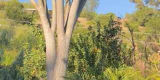 1122 Palomino Road Gallery 59