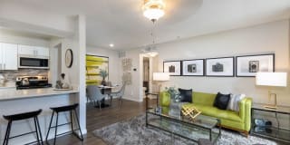 Lodge @ 1550 Gallery 1