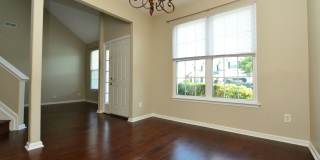 Great Bridge/ Lakefront Gallery 7