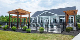 Killarney Woods Gallery 1