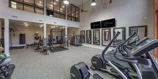 The Collection Gallery 3