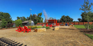 The Modern Gallery 56