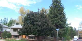 4 Bedroom Boulder House for Rent Gallery 3