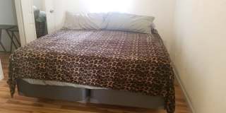 SUMMER/WINTER RENTAL 2026-2027 SUMMER/WINTER RENTAL 2026-2027 Gallery 23