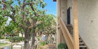 Attn Irvine!  Remodeled Upper 2 bed, 2 bath condo Gallery 1