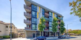 Cerrito Vista Gallery 2