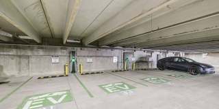 The Glenn Gallery 34