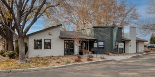 Treehouse Apartments Gallery 19