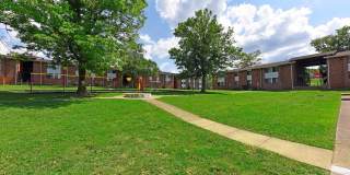 Noah's Landing Gallery 24