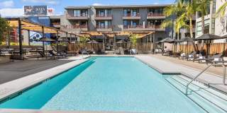 Arrive Hollywood Arrive Hollywood Gallery 41