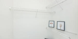 Tesla Park Gallery 61