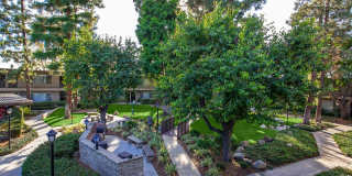 Saddleback Pines Gallery 8