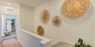 Welcome Canary Gallery 7