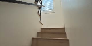 114 South Emerald Place Gallery 5