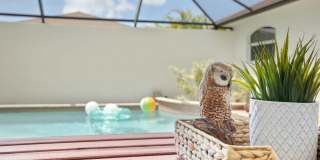 Pool Home for rent Gallery 58