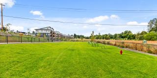 Verda Crossing Gallery 27