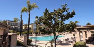 2297 Treetop Lane Gallery 36