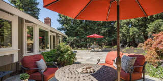 Outstanding 4 Bed 2.5 Bath Alamo Home in Bryan Ranch - Mt. Diablo Foothills! Outstanding 4 Bed 2.5 Bath Alamo Home in Bryan Ranch - Mt. Diablo Foothills! Gallery 22