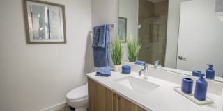 Blue Lagoon 7 Gallery 30