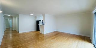 vet182 Gallery 4