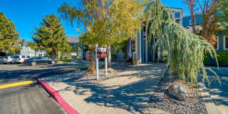 Bristle Pointe Gallery 2