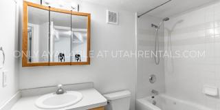 1453 N 1250 W Gallery 12