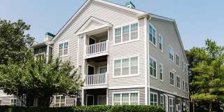 The Groves At Piney Orchard Gallery 13