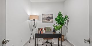 Harlan Gallery 8