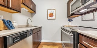 Whisper Hollow Gallery 8