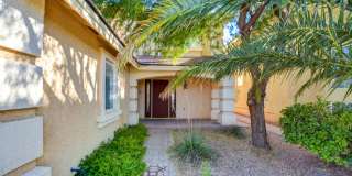 Southern Highlands Pool and Spa-Guard Gated Gallery 7