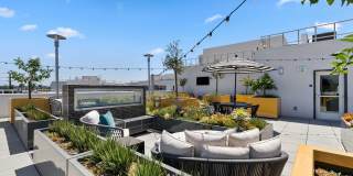 The Elinor Gallery 29