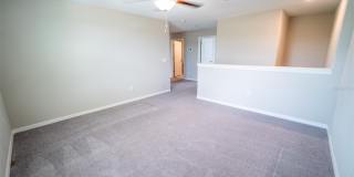 9831 LEMON DROP Loop Gallery 37