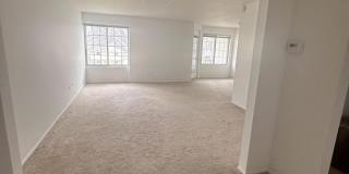 8750 Harrison Avenue unit: 213 Gallery 4