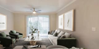 Windsor Coral Springs Gallery 4