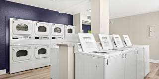 The Halston Gallery 21