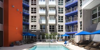 The Brand Gallery 44